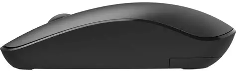 Essentiel-B | Souris sans Fil  Noir Mat